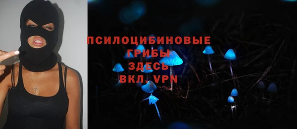 дживик Дмитровск