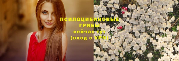 дживик Дмитровск