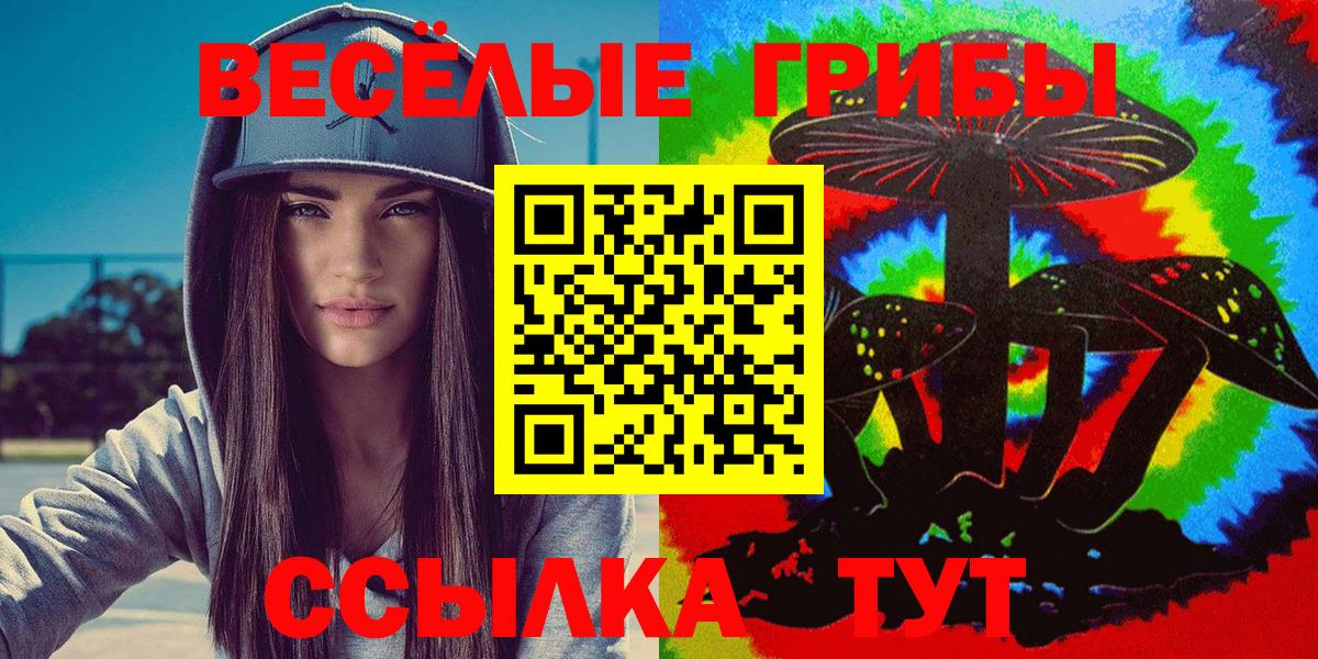 Галлюциногенные грибы Cubensis Заречный